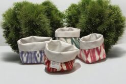 PANERAS-COLORES-LENGUAS